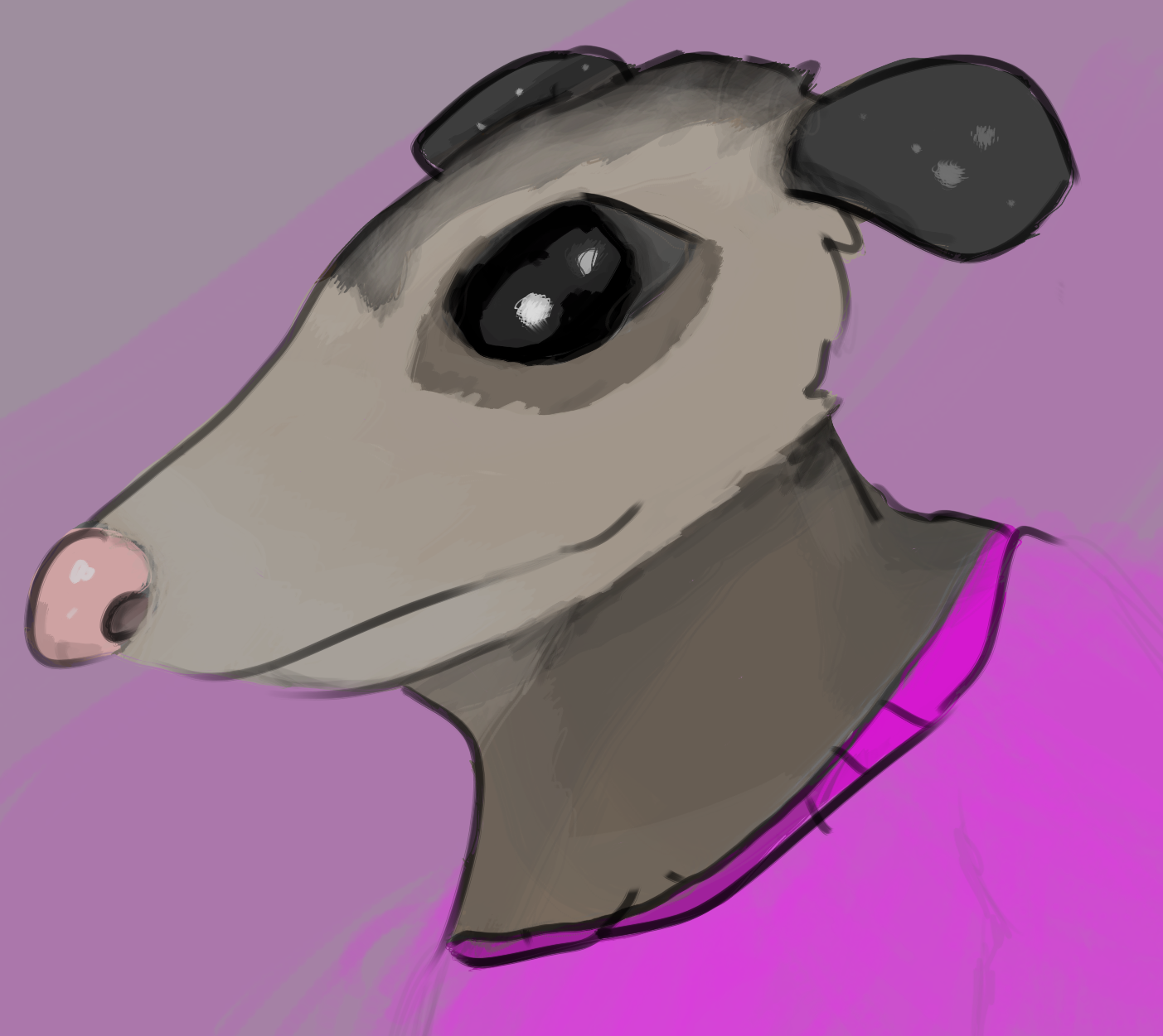 Sibil Profile Pic